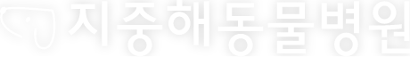 지중해동물병원