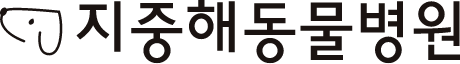 지중해동물병원